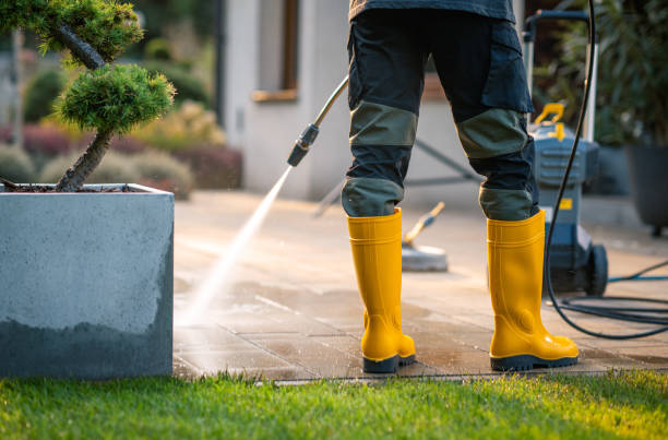 Best Roof Pressure Washing  in Alta Sierra, CA